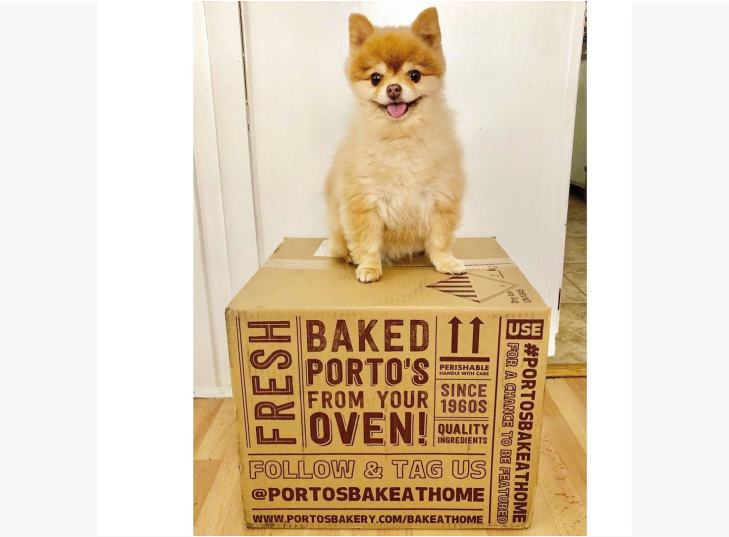 A cute pomeranian dog sitting on a box of treats from Porto's bakery.