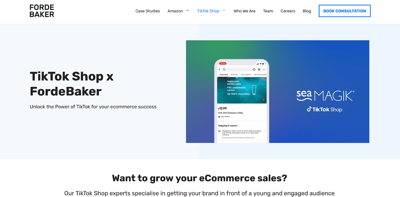 TikTok Shop Agency: FordeBaker