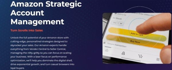 Amazon Marketing Agency: Intero Digital